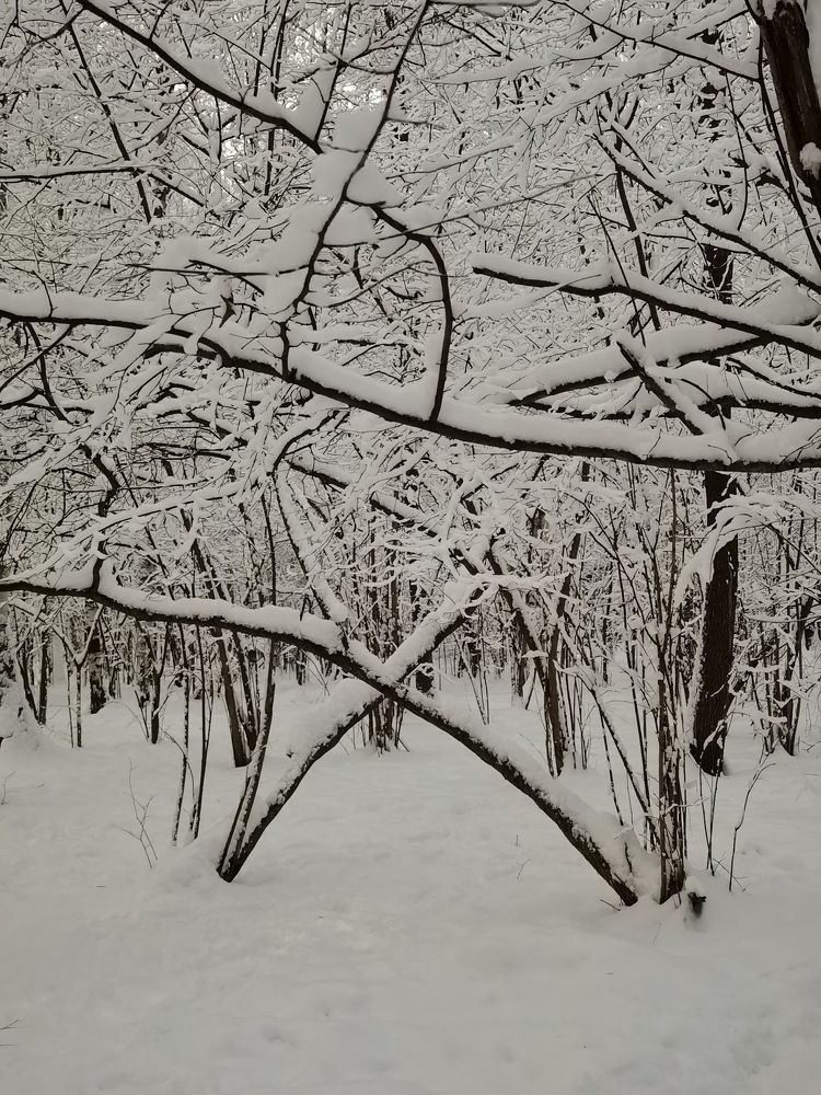 Photograph by Олика