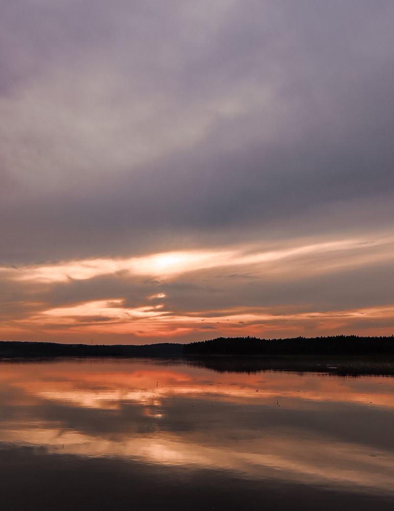 Фотография автора Олеся Шипихина