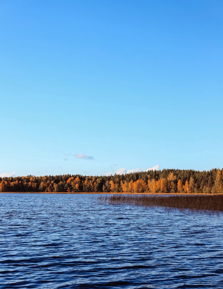 Фотография автора Олеся Шипихина