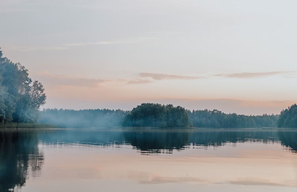 Фотография автора Олеся Шипихина