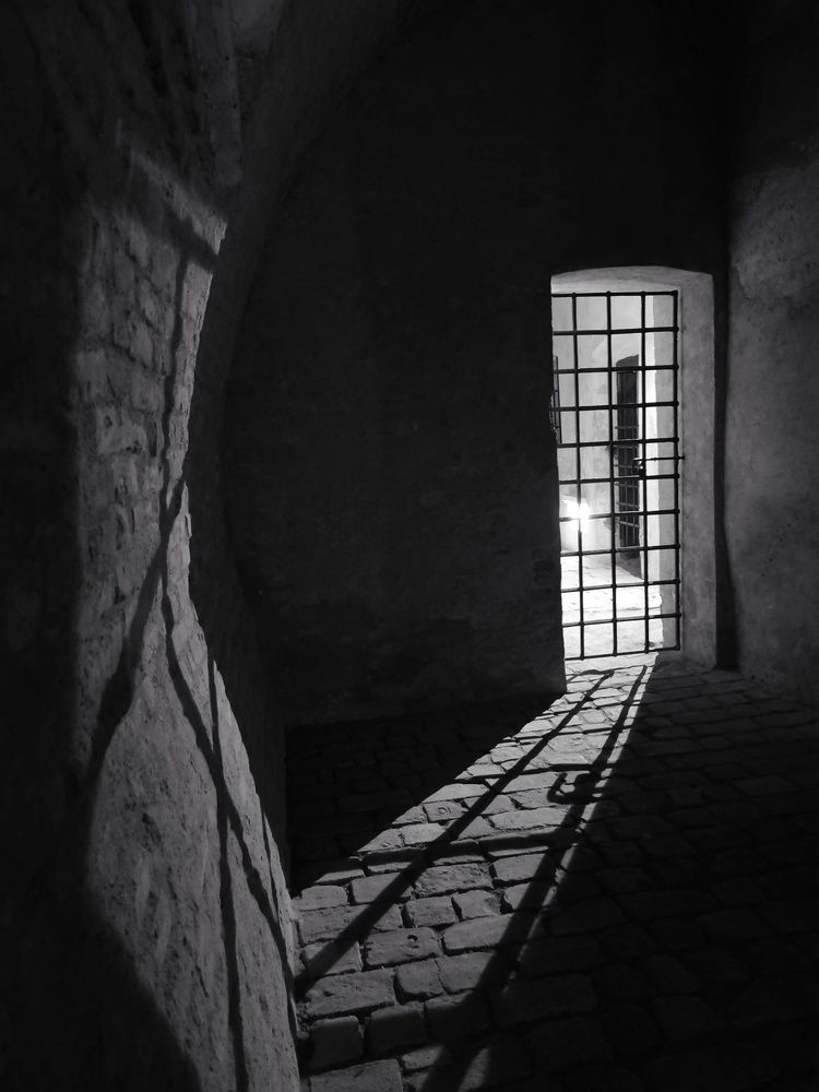 Photograph by Růžena Suchánková