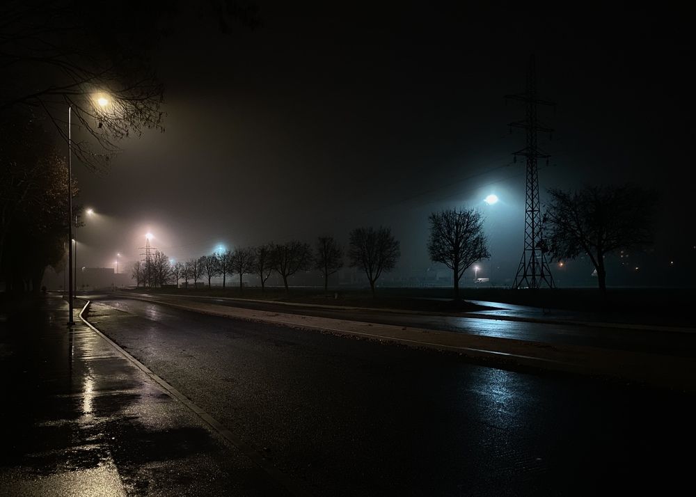 Photograph by Elena Kravchenko