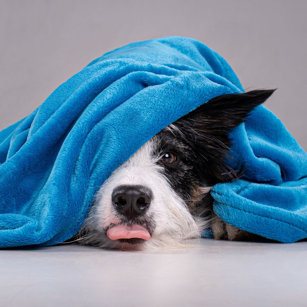 Фотография автора Krisztián Csalami