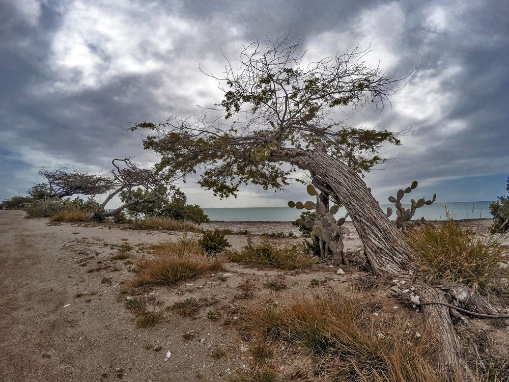 Photograph by Stamen Sotirov