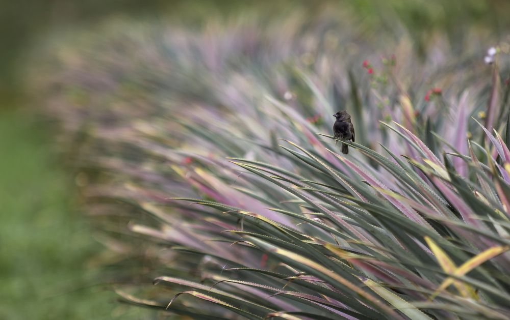 Photograph by Stamen Sotirov