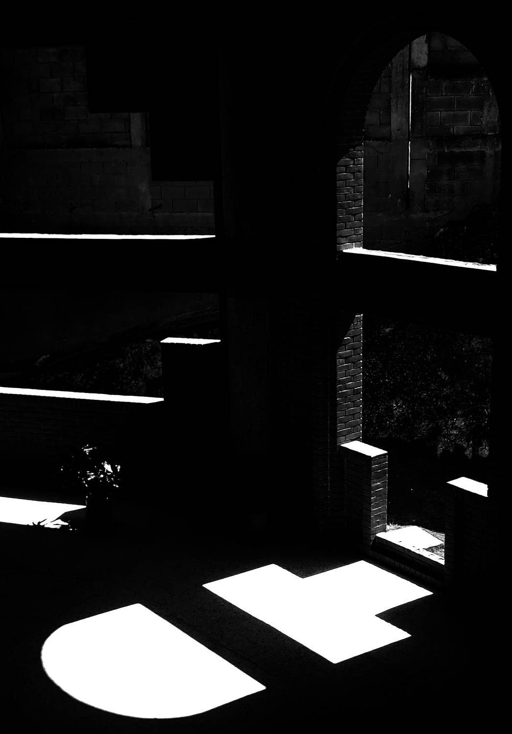 Paleta de luz y sombra