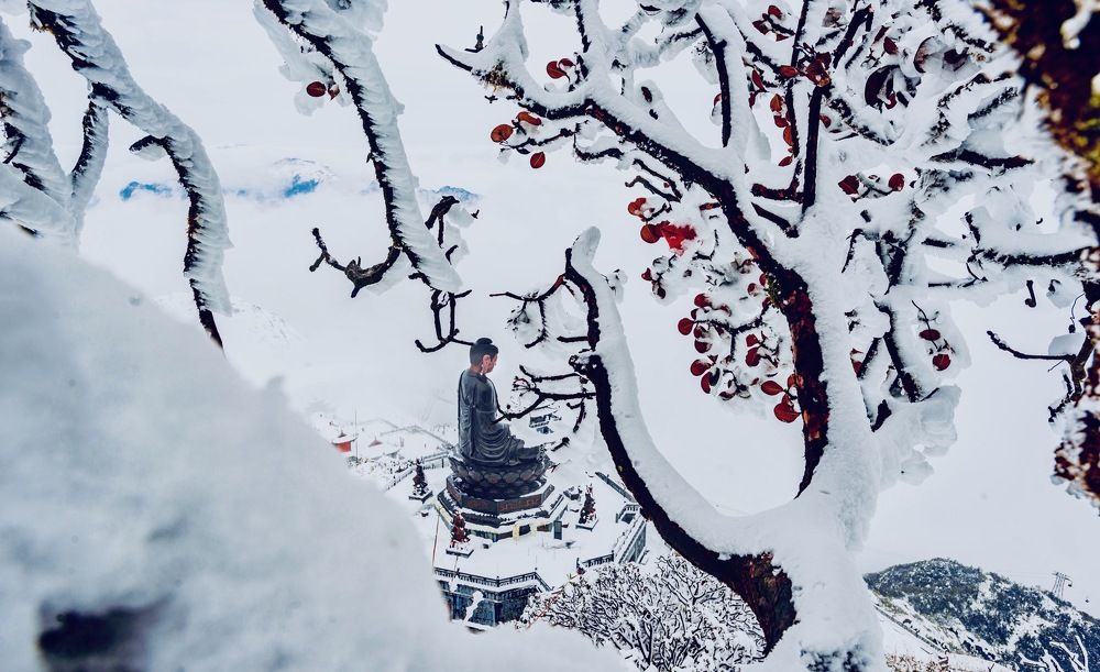 Photograph by LungLinhHuyenAo