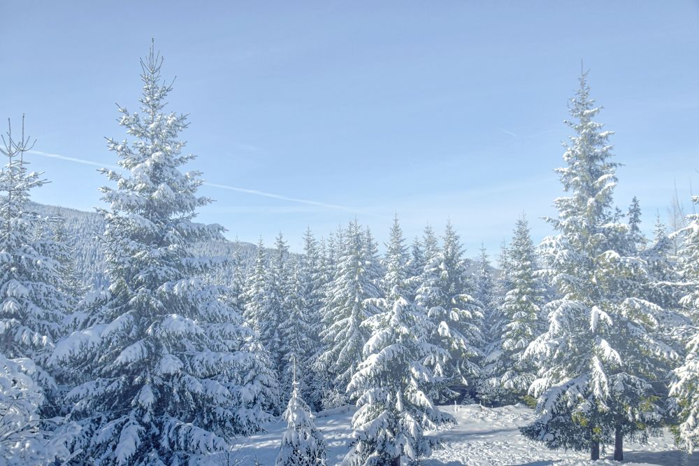 Фотография автора Leompescu Emanuel