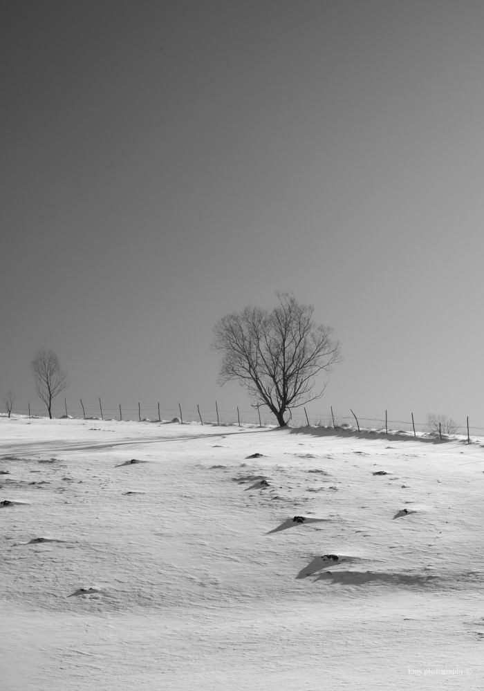 Фотография автора Leompescu Emanuel