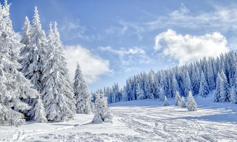 Photograph by Leompescu Emanuel