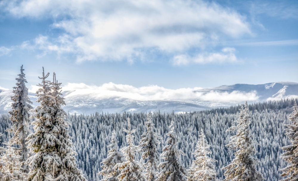 Фотография автора Leompescu Emanuel