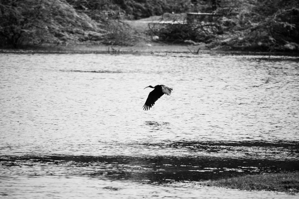 Photograph by Ragulprasanna