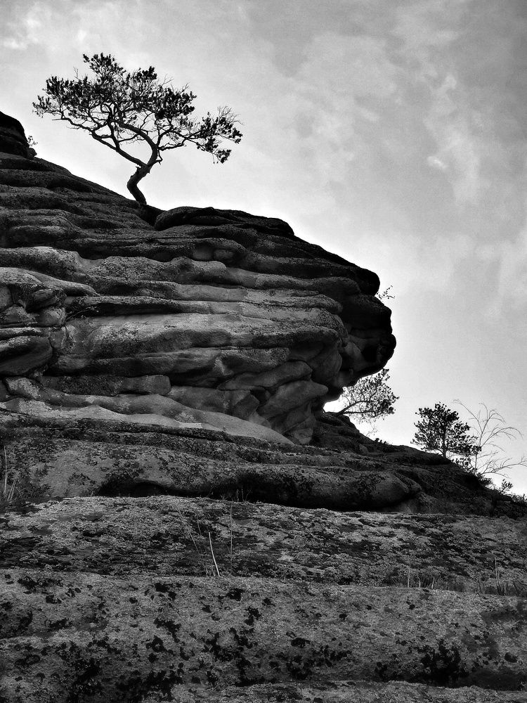 Фотография автора Юлия Есина