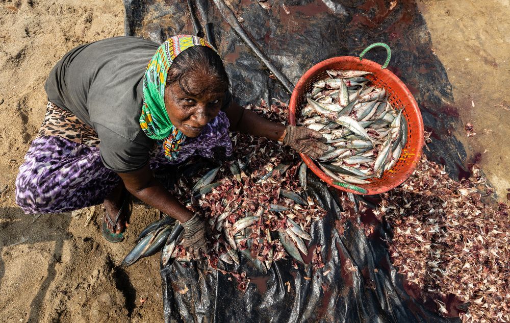 Photograph by Umesh Ranasinghe
