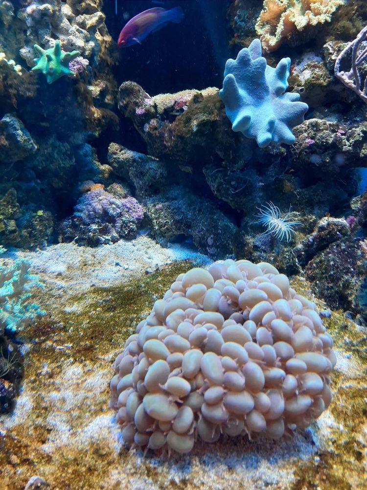 Photograph by Елена Горева