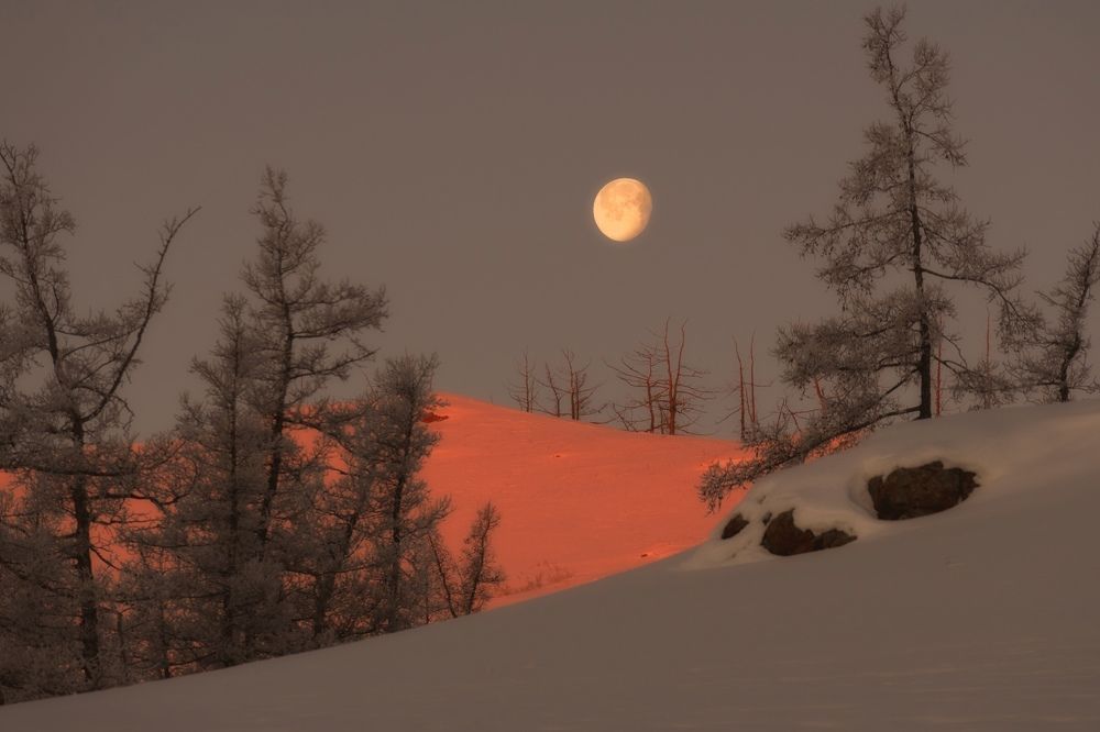 Photograph by Таипов Ильгиз