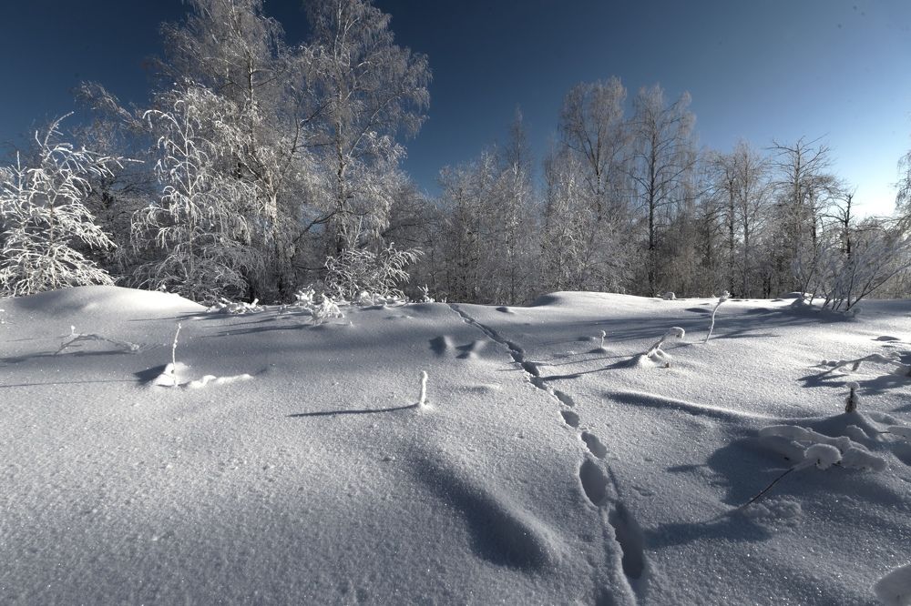 Photograph by Таипов Ильгиз