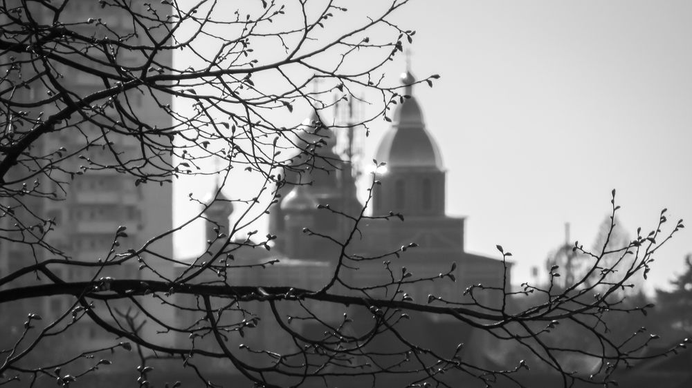 Photo #8566136