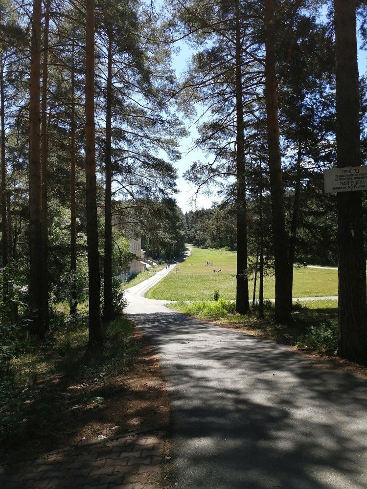 Photograph by Надежда Яковлева