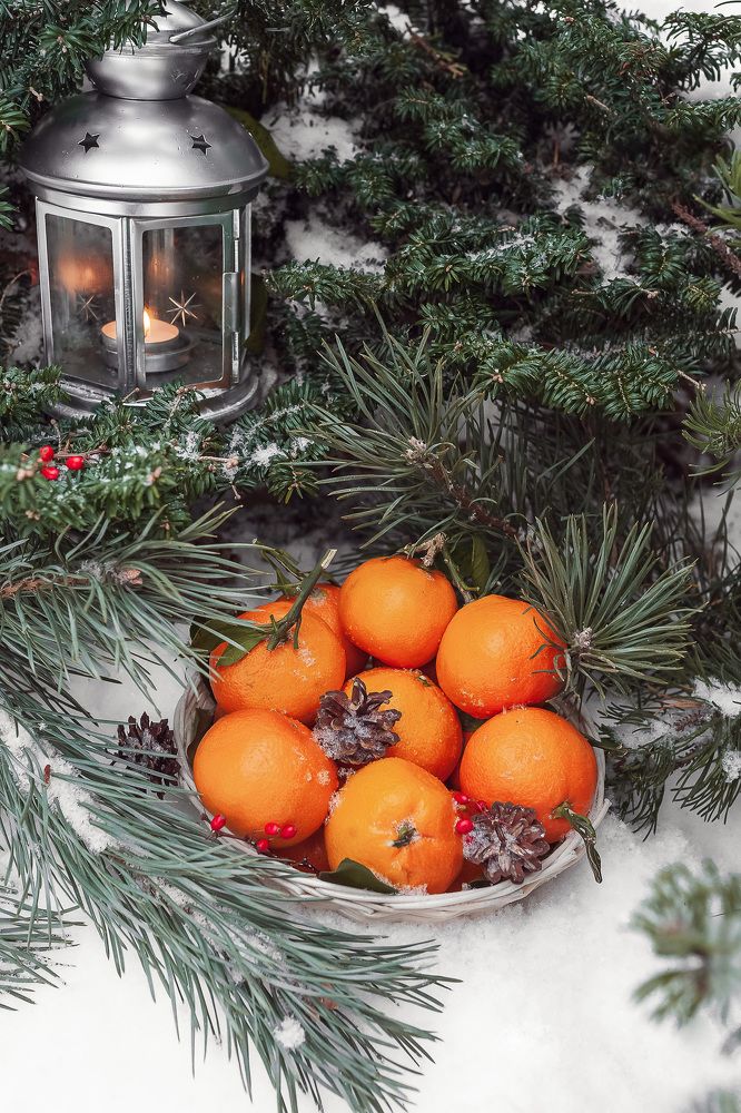 Фотография автора Альбина Кадочникова