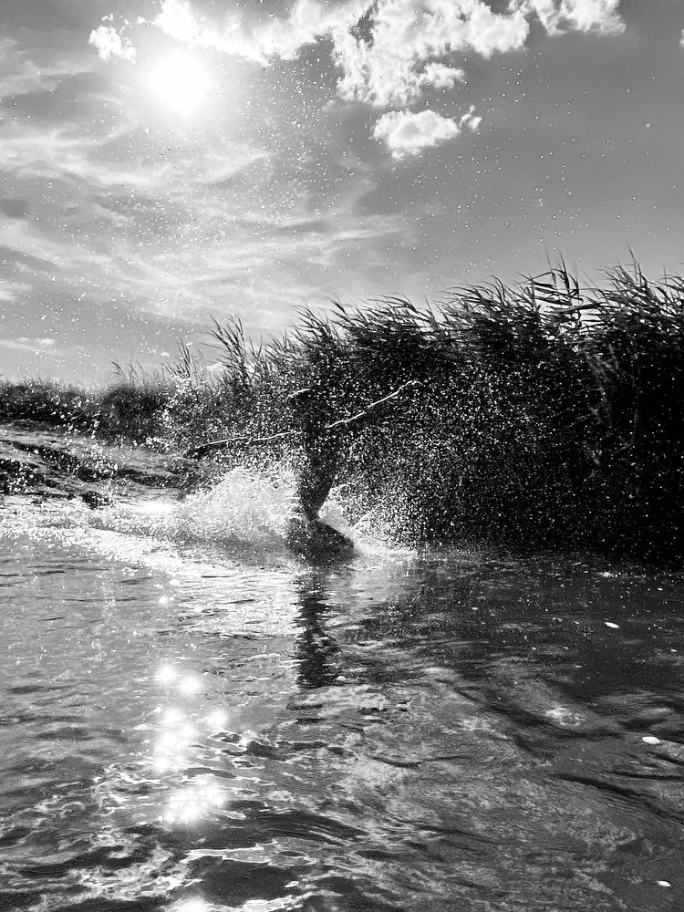 Photograph by Алексей Мельников