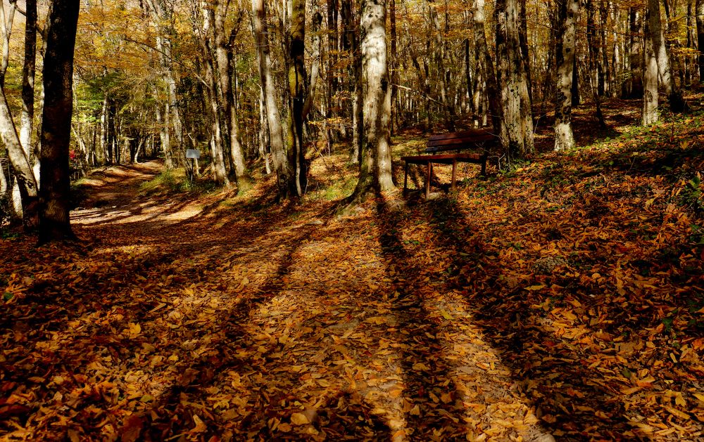 Photograph by Олег Башкуров