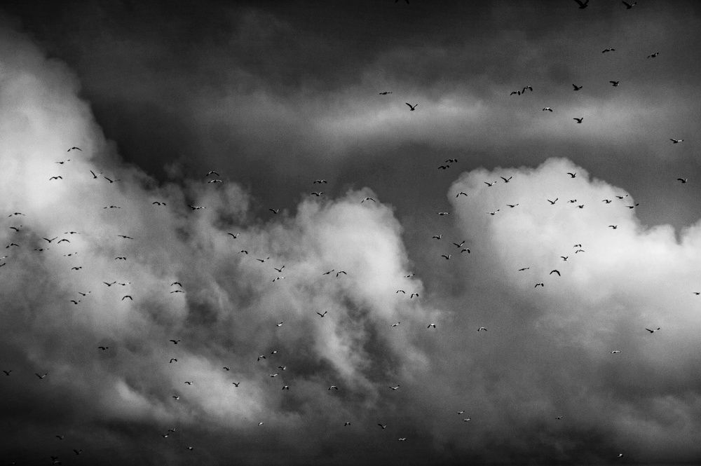 Photograph by Pavel Gerasimovich