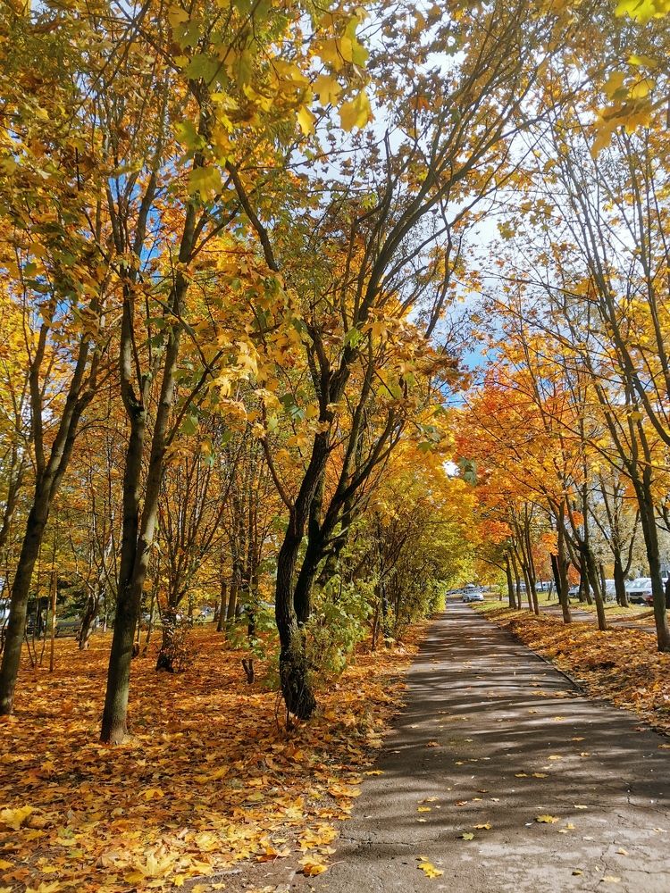 Photograph by Юля Шуравенкова