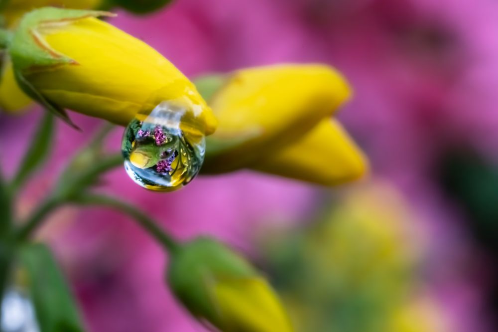 Photograph by Николай Фонарёв