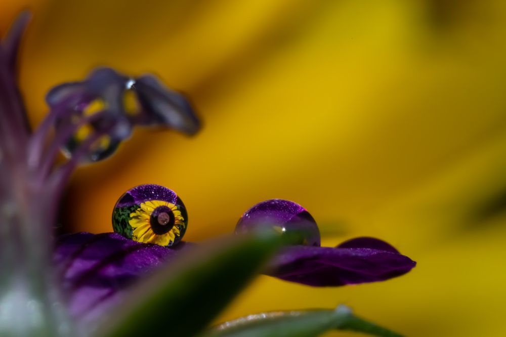 Photograph by Николай Фонарёв