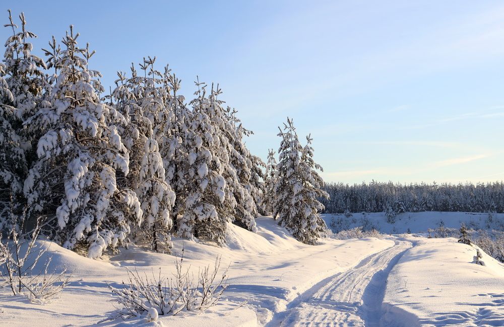 Фотография автора Елена Колосова
