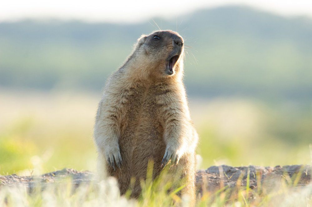 Photograph by Цветков Сергей