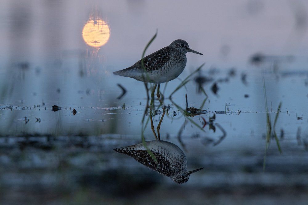 Photograph by Цветков Сергей