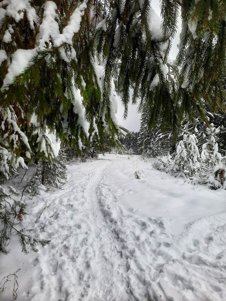 Photograph by Ольга