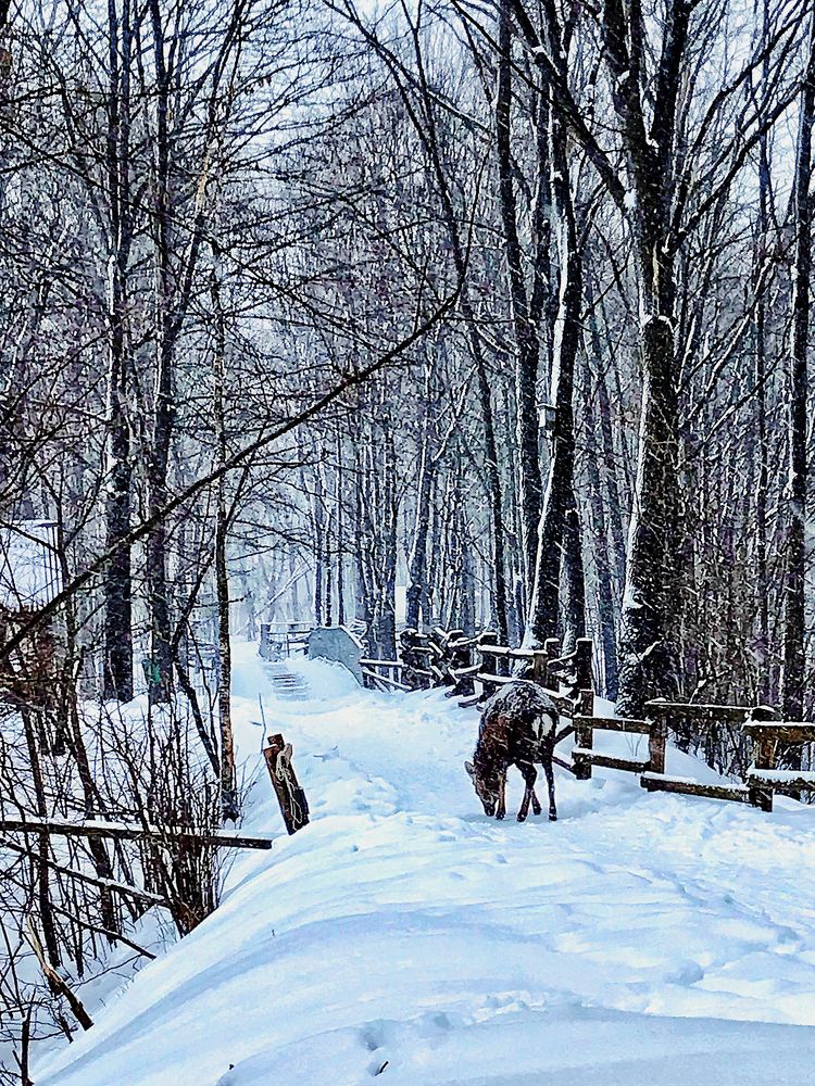 Photograph by Елена Никитенко