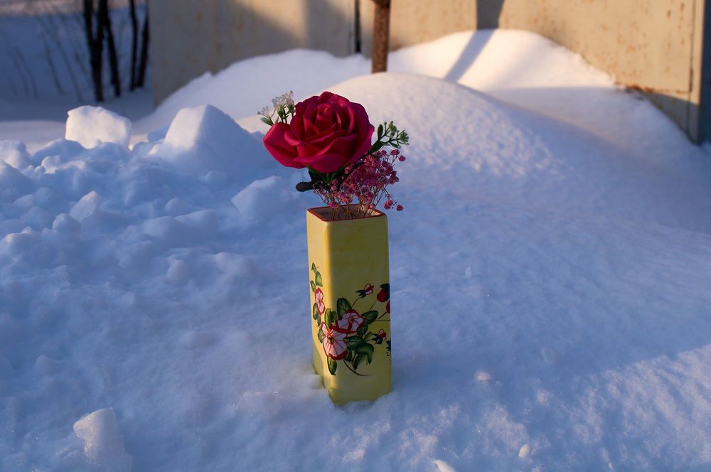 Photograph by Igor Kochkin