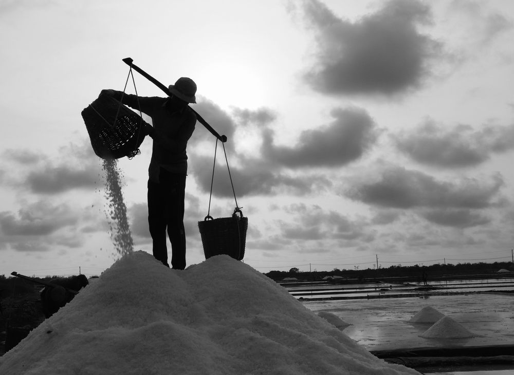 Фотография автора Quynh Nga Pham