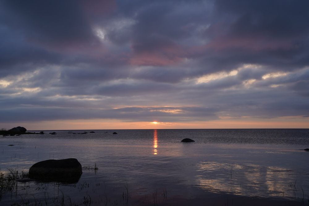 Фотография автора Юлия Овчинникова