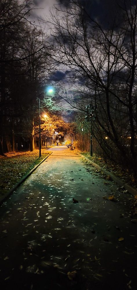 Photograph by Владимир Чивиков