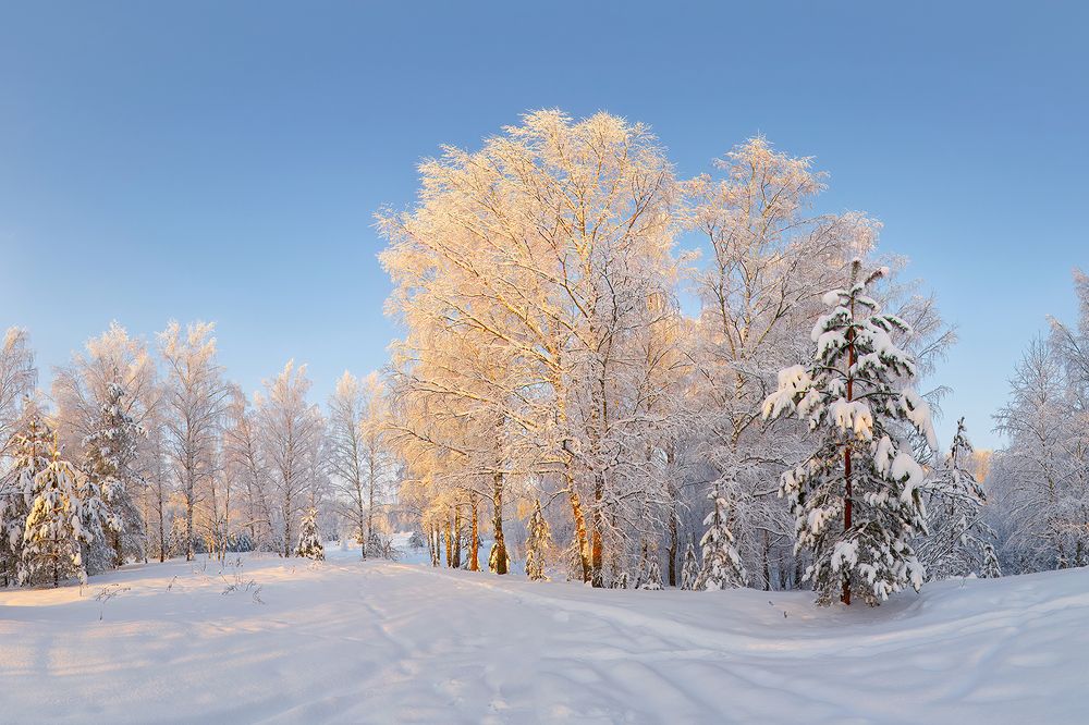 Солнечный день