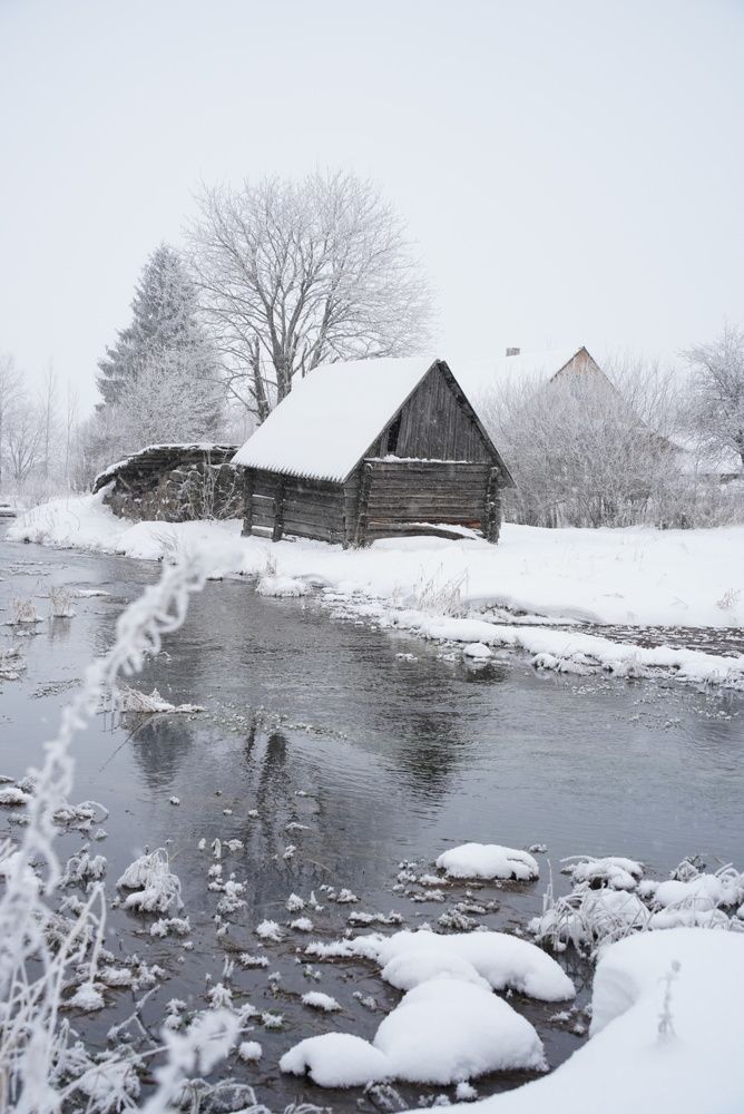 Фотография автора Юлия Овчинникова