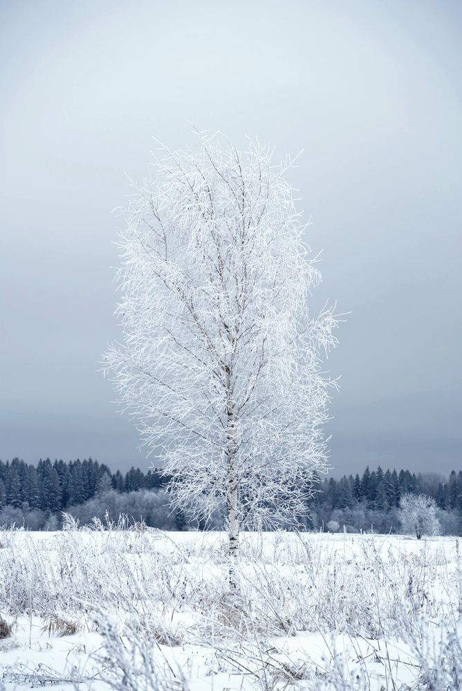 Фотография автора Юлия Овчинникова