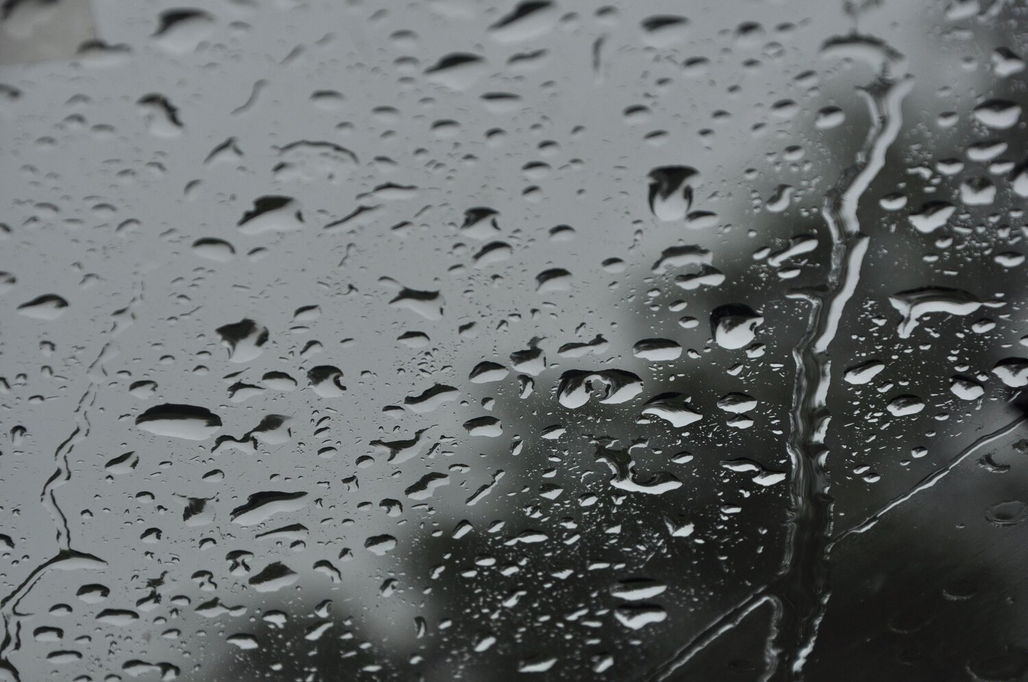 Photo #8566649