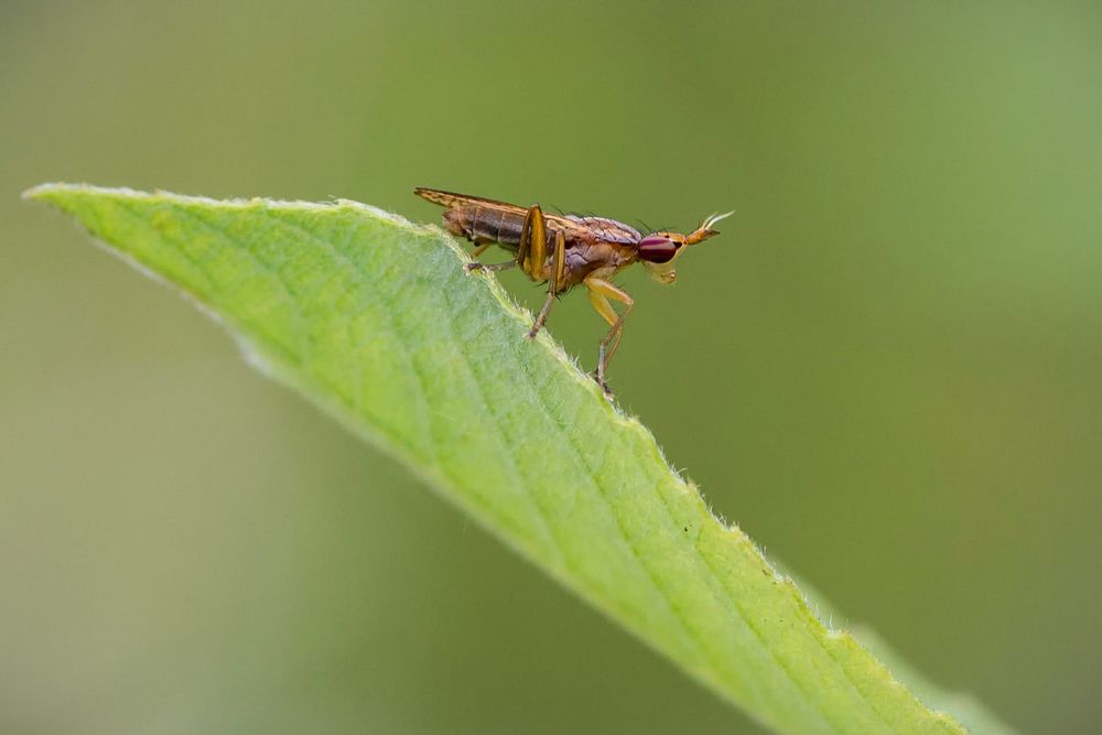 Photograph by Юрий Яковлевич