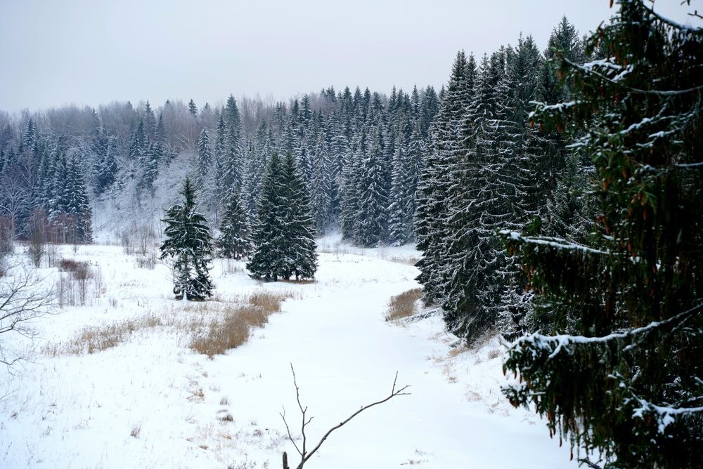 Фотография автора Юлия Овчинникова