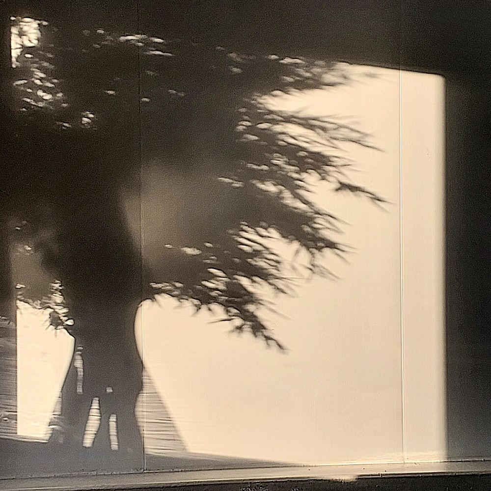 Photograph by Комкова Юлия