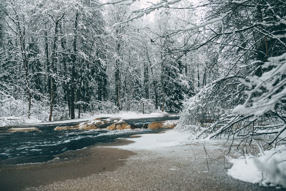 Photograph by Демушкин Петр