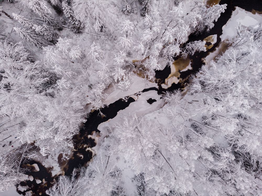 Photograph by Демушкин Петр