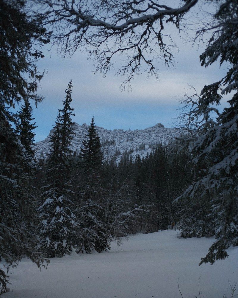 Photograph by Антон Е