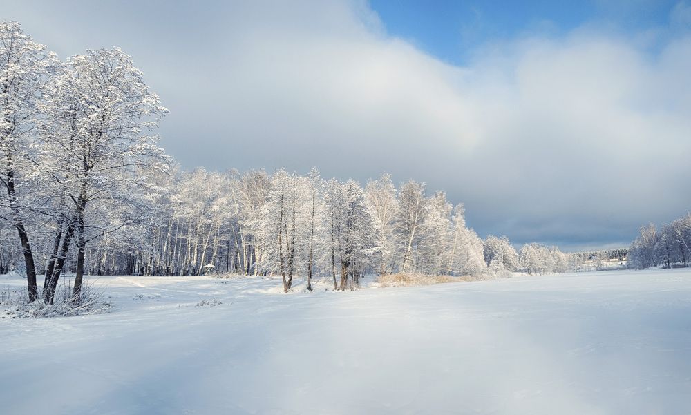 Photograph by Вера Петри